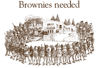 brownies1_main